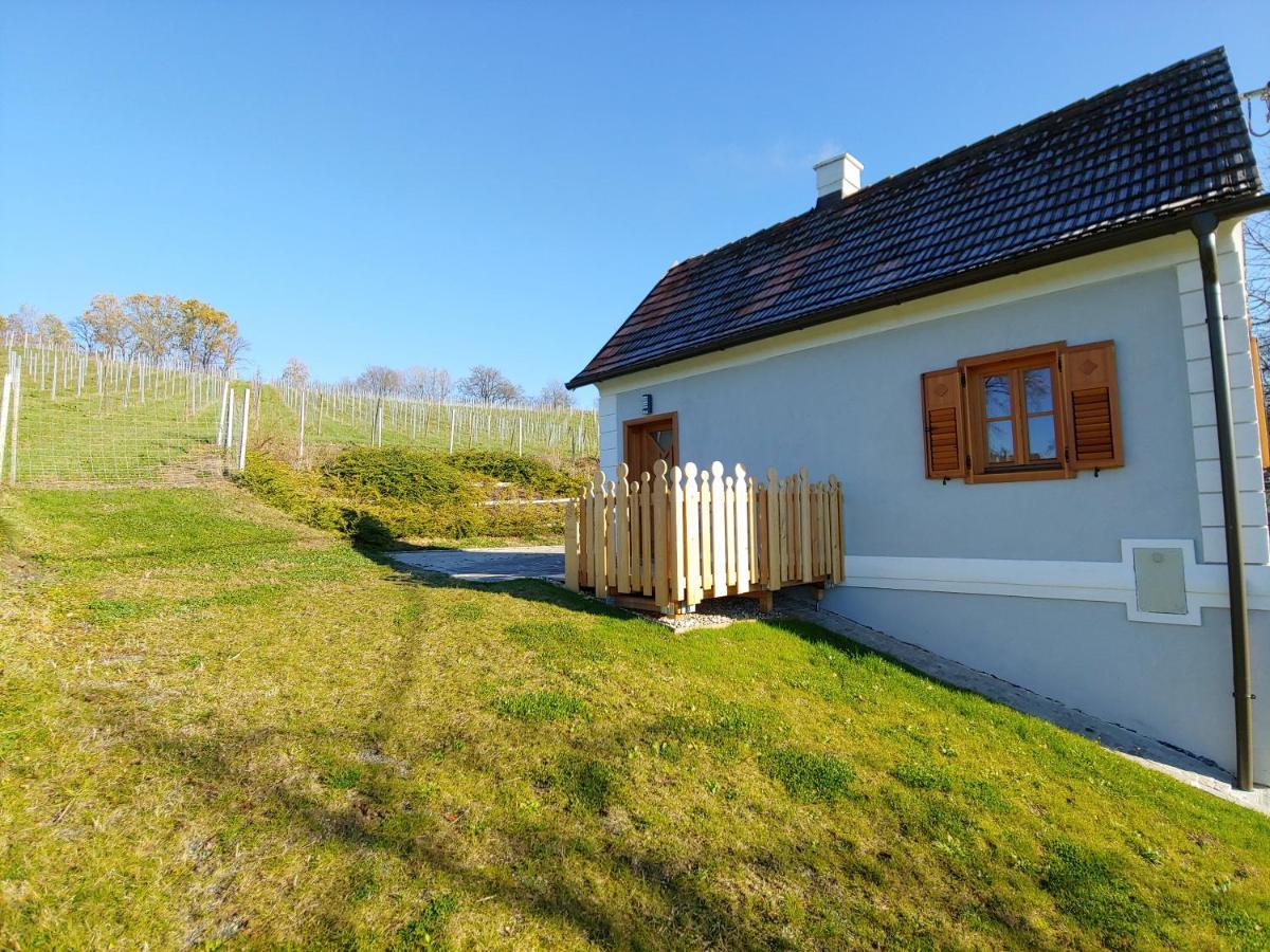 Kleine Reblaus Apartment Bad Waltersdorf Exterior photo