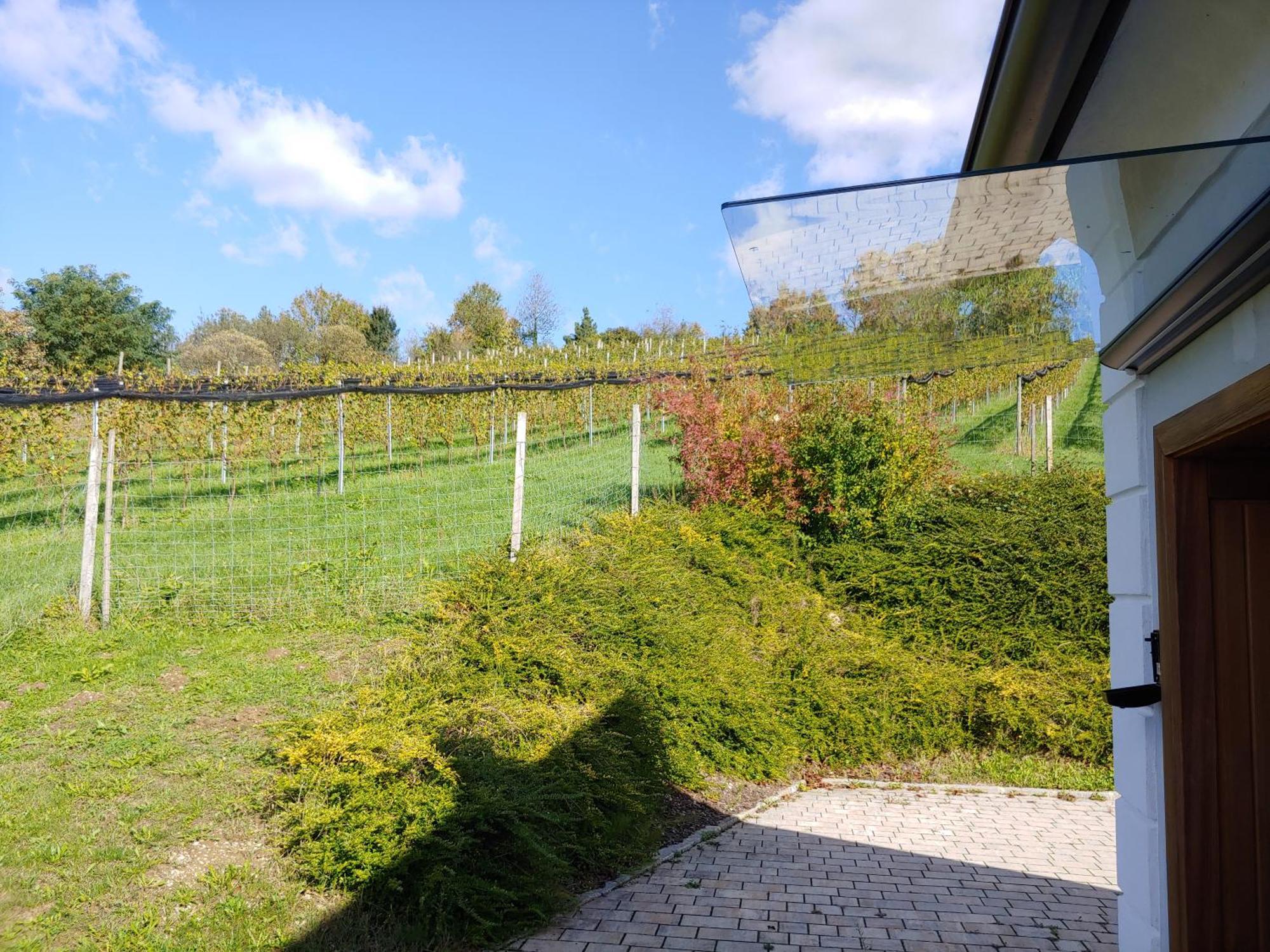 Kleine Reblaus Apartment Bad Waltersdorf Exterior photo